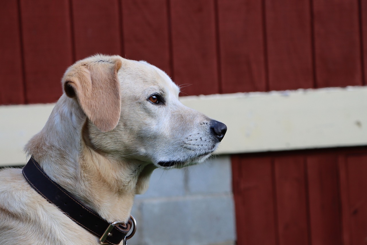 300大作战：深圳注册代理公司的流程