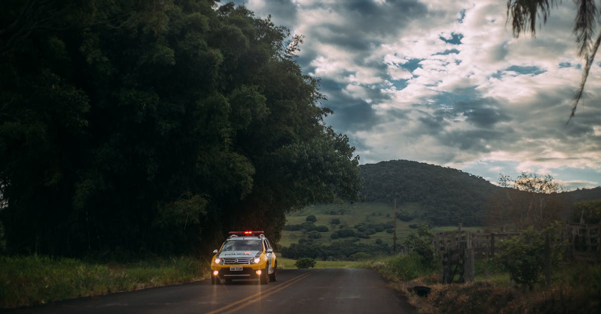 网易手机卡实名账号：四川交警公共服务平台app详情下载教程