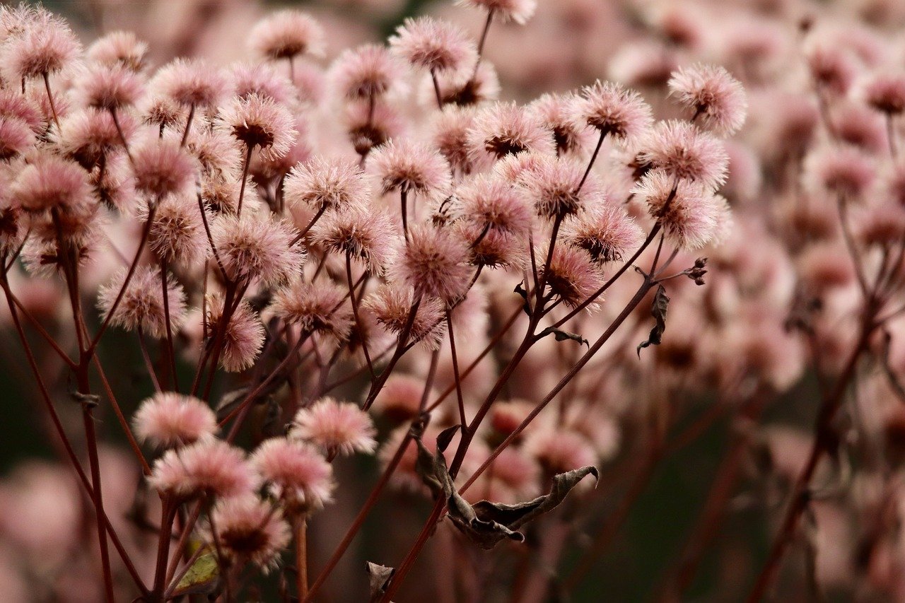 铁塔猫糖果双爆珠（细）：苏州高性能旋转平台代理商