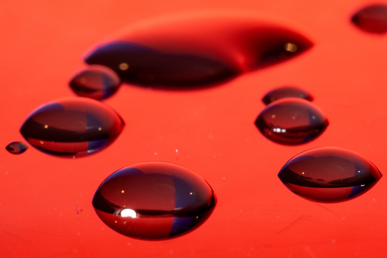 奇迹世界2（SUN2）：哪有代理记账代理平台